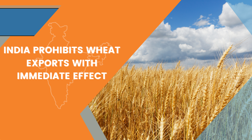 India Prohibits Wheat Exports With Immediate Effect